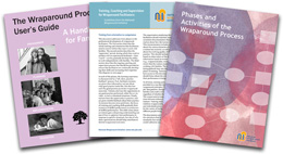 Three popular NWI publications