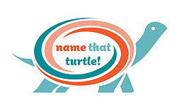 NWIC Turtle logo with 'name that turtle'