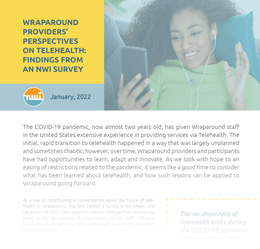 Telehealth survey report